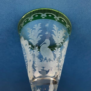 Puede incluir: Una copa de vidrio transparente con un borde verde y un dise&ntilde;o grabado de un p&aacute;jaro de pie en un arbusto.