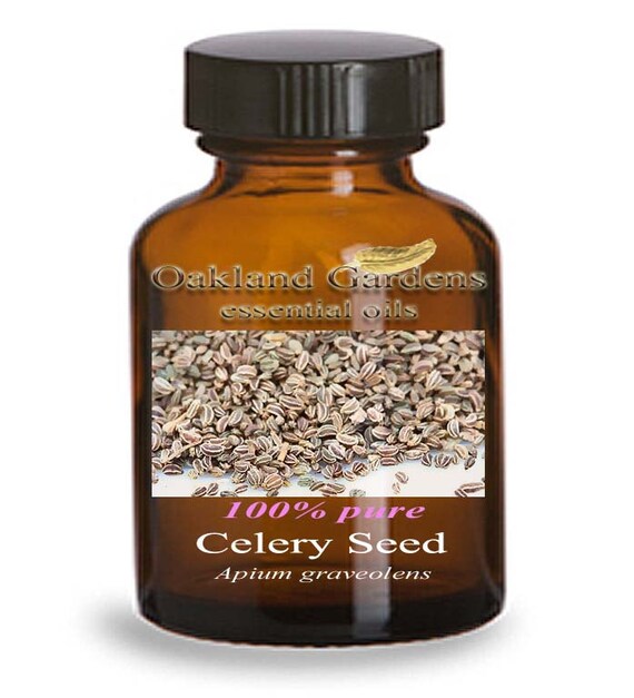 CELERY SEED Essential Oil 100 PURE Therapeutic Grade