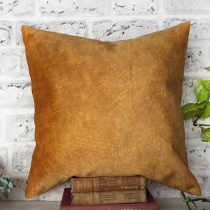 May include: A brown leather pillow with a textured surface. The pillow is sitting on a stack of books.