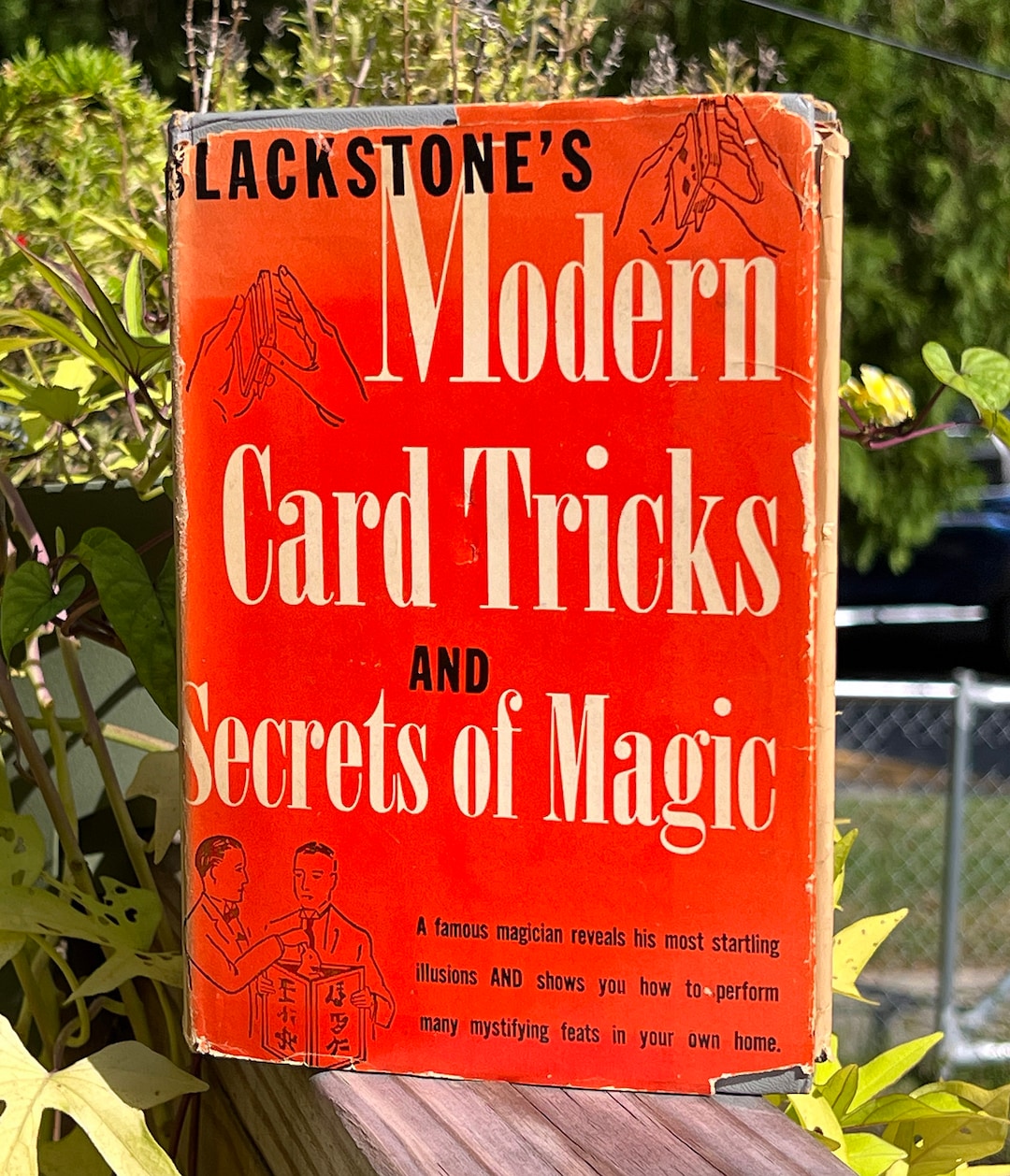 Blackstone's Modern Card Tricks and Secrets of Magic Etsy