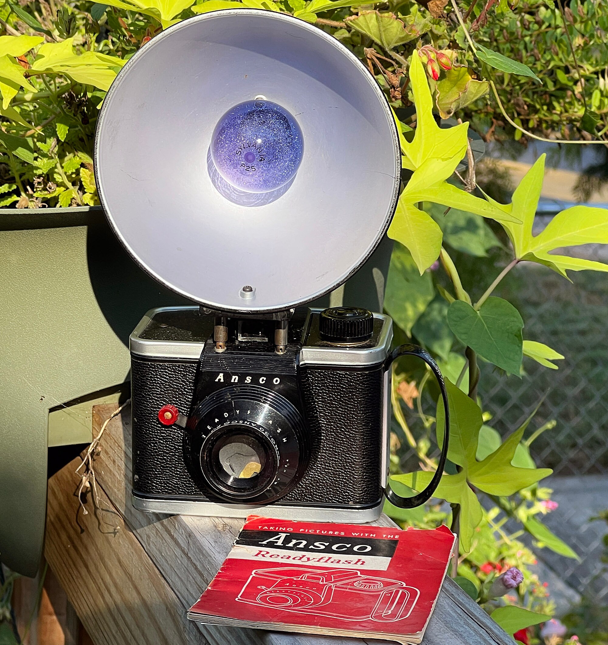 Vintage Camera Bulb - Etsy