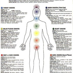 May include: Diagram of the seven chakras, showing their location on the body, color, element, functions, glands, organs, gems, minerals, foods, qualities, and negative qualities. The chakras are: Crown, Brow, Throat, Solar Plexus, Heart, Navel, and Root.