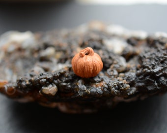 A Hand Carved Peach Pit Amulet Pendant/Bead-Thanksgiving/Halloween Pumpkin/Fall Harvest/Autumn Harvest  #PPB-015