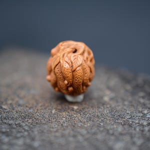 Puede incluir: Una pequeña cuenta de madera tallada de forma intrincada con un diseño detallado de hojas y frutos. La cuenta es de color marrón claro y tiene un acabado liso y pulido.