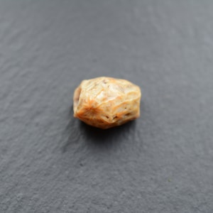 A  Gobi Vein Tendon Agate Bead- #GBB-005