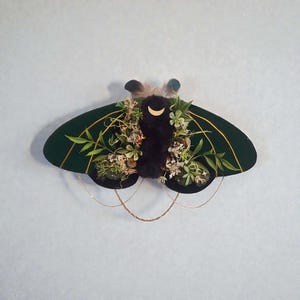 May include: A decorative moth wall hanging with dark green wings and gold accents. The moth's body is black and adorned with greenery, small flowers, and a gold crescent moon. Delicate gold chains hang below the wings.