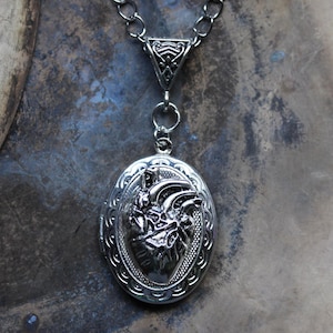 Silber Medaillon Halskette mit Anatomischem Herz zum Aufklappen ~Dr. Cardias Secret~