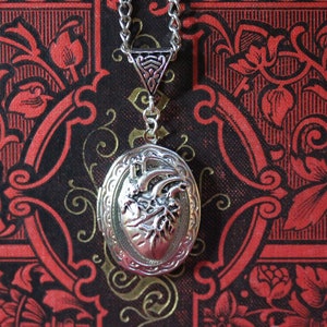 Silver Medallion Necklace Anatomical Heart Romantic for Folding ~Dr. Cardia's Secret~