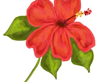 Coral Hibiscus Art  Etsy