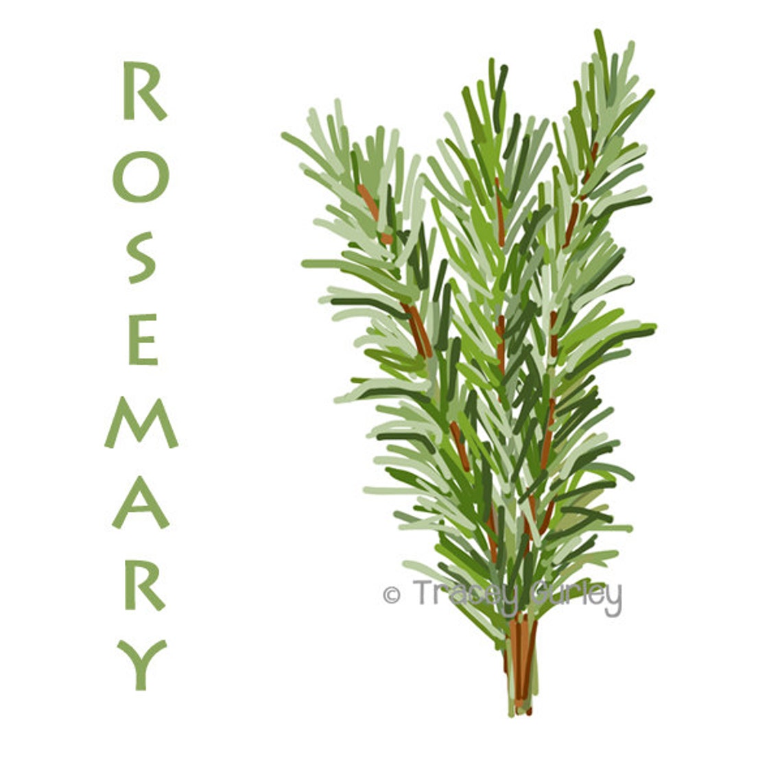 Rosemary Sprigs Original Art Download 2 Files Rosemary Etsy