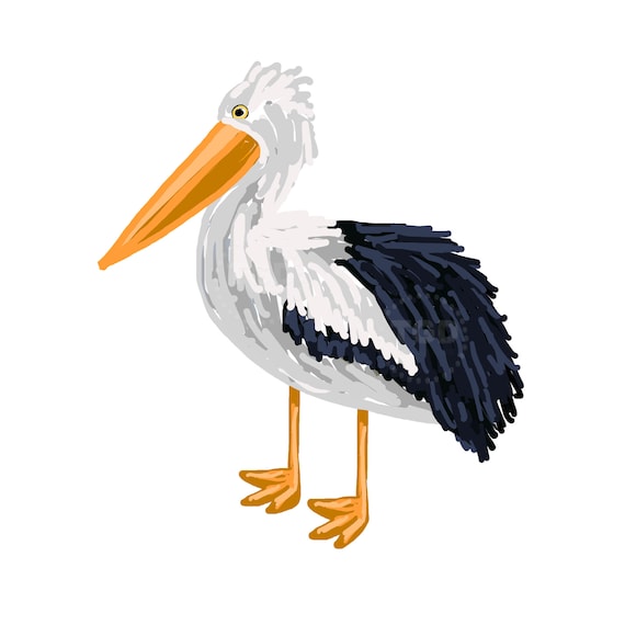 Pelican Clip Art Pelican Clipart Pelican Watercolor Pelican | Etsy