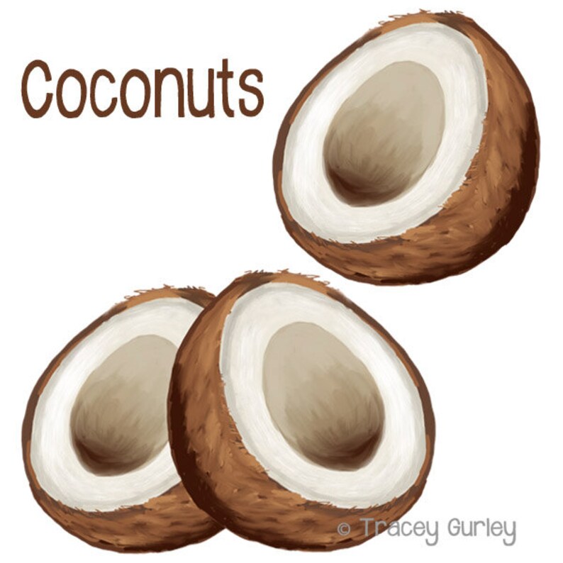 Coconuts Original art download 4 files coconut printable | Etsy