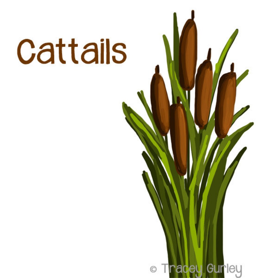 Cattails Graphic Original Art Cattails Clip Art Cattails Etsy