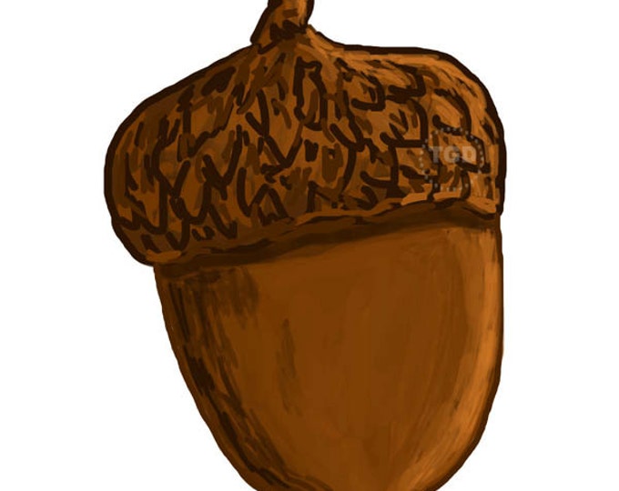 Желудь рисунок для детей