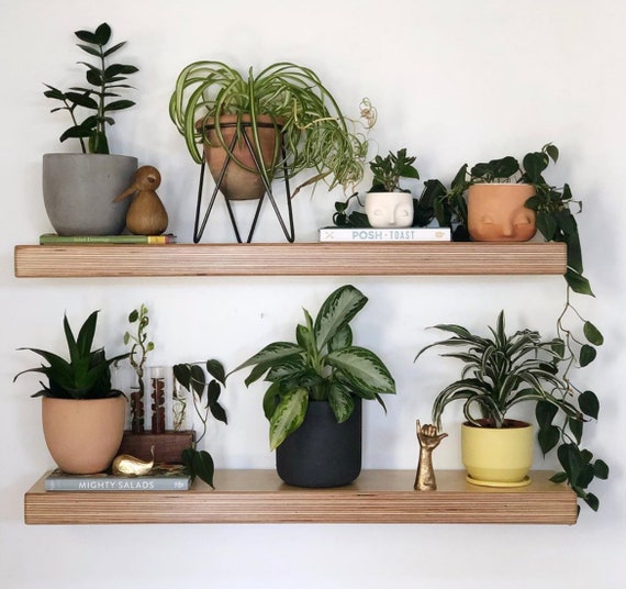 Baltic Birch Plywood Floating Shelf