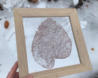 Leaf Pressings in Handmade Baltic Birch Plywood Beveled Frames