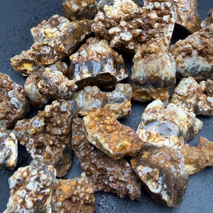 Puede incluir: Una colección de piedras de ágata en bruto, sin cortar. Las piedras muestran una variedad de colores, incluyendo tonos de marrón, beige y blanco. Las superficies tienen una apariencia rugosa y texturizada, con algunas áreas que parecen cristalinas. Las piedras son de varios tamaños y formas.