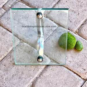 May include: A clear glass door pull with a silver handle and two silver mounting screws. The pull is mounted on a square piece of glass. The glass is sitting on a gray brick surface.
