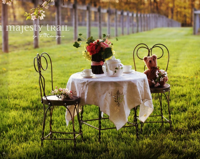 Vintage Childrens Ice Cream Parlor Table 4 Chair Set Wood Iron Etsy