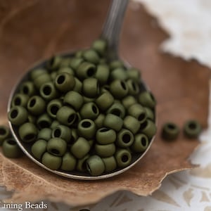 Fern Dots (100) - TOHO Seed Beads - 6/0