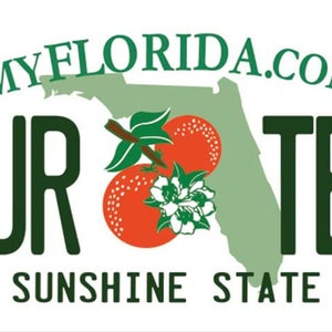 Florida Personalized Custom License Plate your name any text custom 12&quot; x 6&quot;