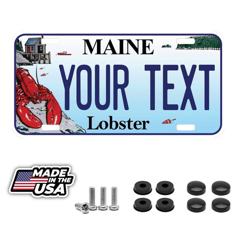 Custom Florida License Plate / In God We Trust / Black Florida License - Foto 2