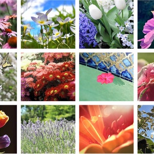 Florale Gruppe ~ Handgemachte Foto Grußkarten