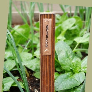 Vegetable Garden Stake (Cedar) with Copper Tag  (Each)