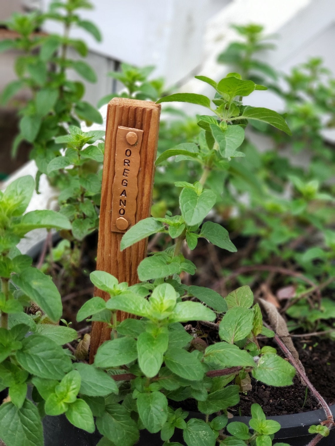 Herb Garden Stakes With Copper Tag each Great Etsy