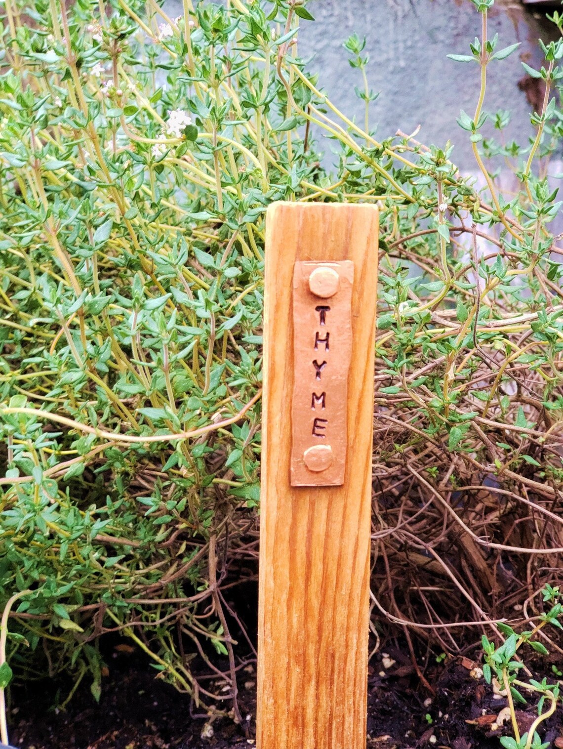 Herb Garden Stakes With Copper Tag each Great Etsy
