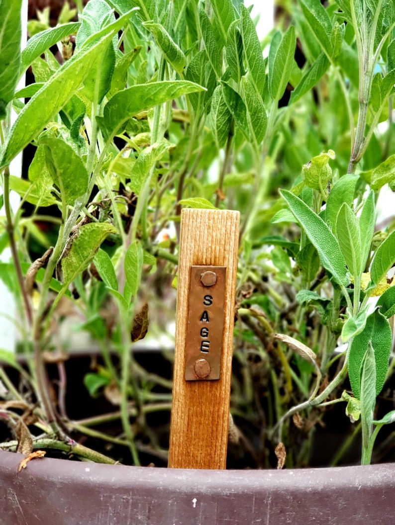 Herb Garden Stakes With Copper Tag each Great Etsy