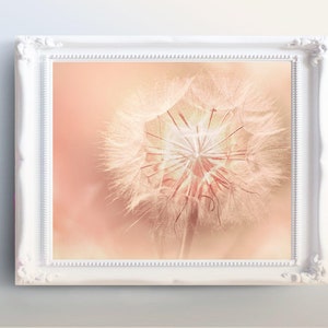 Dandelion Flower Print, Flower Wall Art, Printable Poster, Digital Download, Pink Flowers Photography, Pink Flower Decor, Botanical Flower