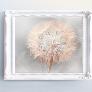 Dandelion Wall Art INSTANT DOWNLOAD Art - Printable Dandelion Print - Pink and Gray Dandelion Photo Download - Wild Flower - Pink Home Decor