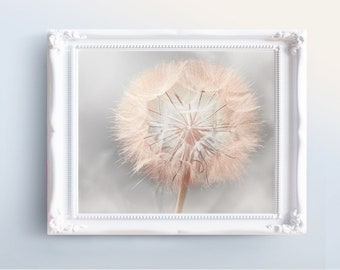 Dandelion Wall Art INSTANT DOWNLOAD Art - Printable Dandelion Print - Pink and Gray Dandelion Photo Download - Wild Flower - Pink Home Decor