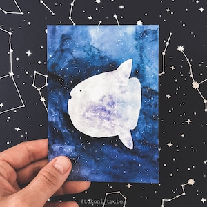 Cartolina Mola Mola, Biglietto pesce luna, Cartolina pesce luna, Costellazione pesce, Biglietto d'auguri