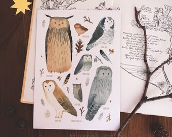 Owl Stickers, Barn Owl Art Sticker Sheet, Watercolor Stickers, Bird Art, Cute Stationary, Bujo Stickers