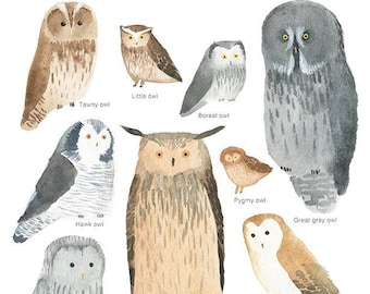 Owls A3 print Watercolor poster Owl poster Owl print Owl art Owl watercolor Owl nursery Kids wall art Barn owl Owl painting Bird poster