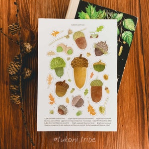 Stickers glands Stickers nature Stickers forêt Stickers agenda Set d'autocollants chêne Agenda Stickers automne Papeterie gland Papeterie bois