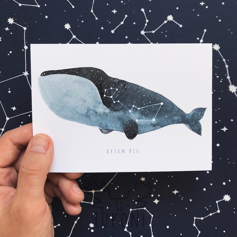 whale constellation whale constellation