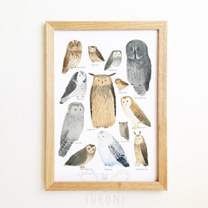 Impresión de búhos de Ucrania, ilustración de acuarela, impresión A3, impresión artística de búho, arte de pared para guardería, regalo de búho, Tukoni