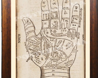 Palmograph Fortune Chart