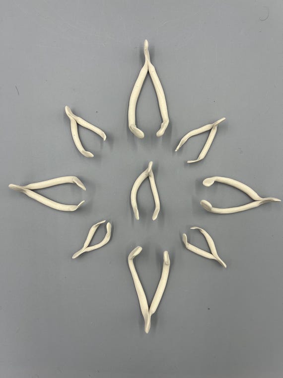Porcelain Ceramic Wishbones
