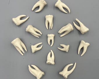 Porcelain Ceramic Teeth