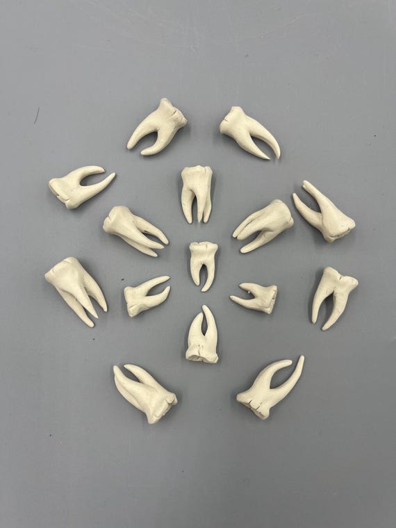 Porcelain Ceramic Teeth