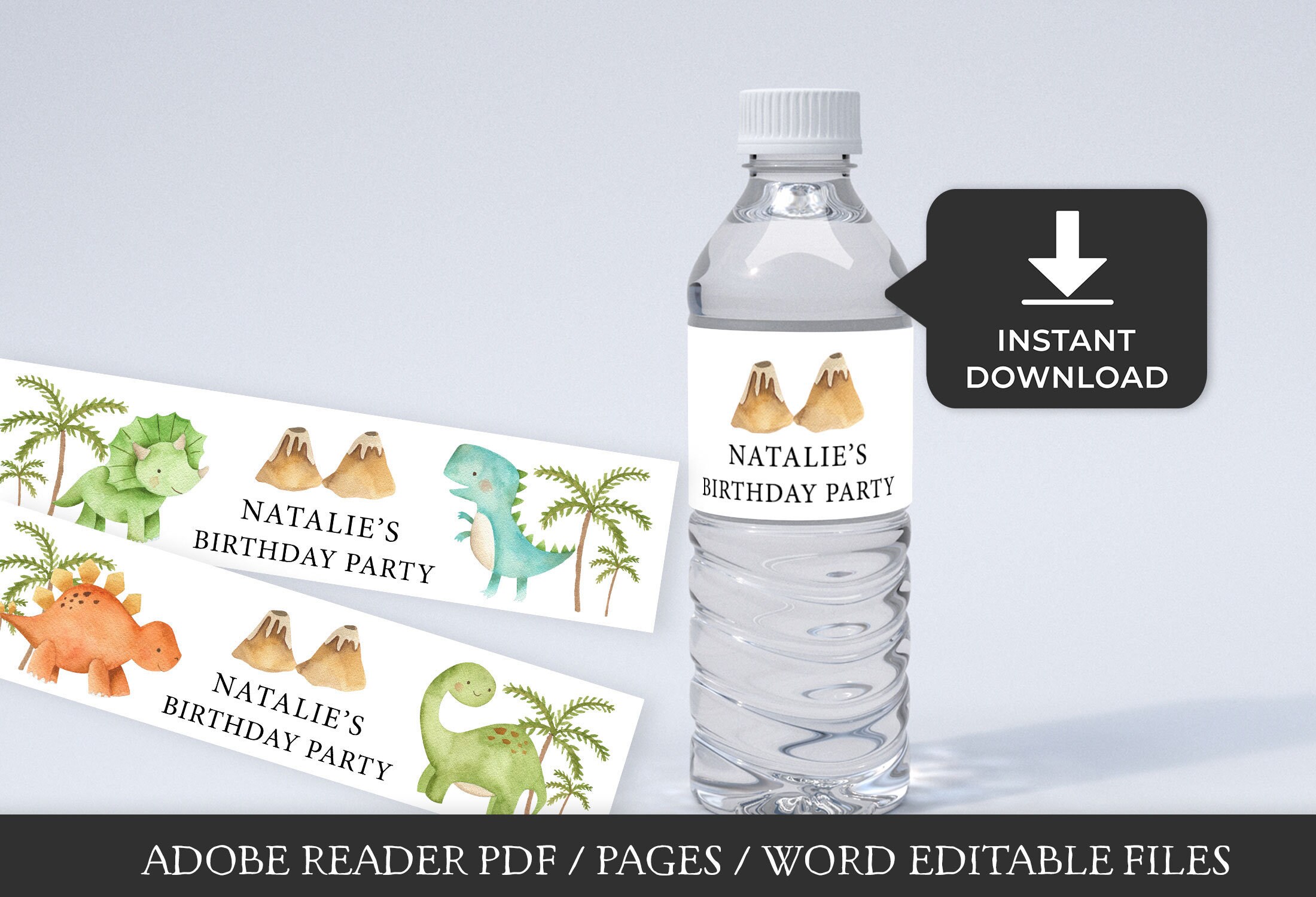 Dinosaur water bottle labels editable template Dino baby Etsy