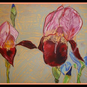 ORIGINAL: Iris in the sun. Original Handmade Fine Art Pastel On Paper.