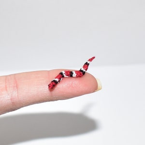 Miniature King Snake tiny Micro crochet King Snake Miniature terrarium animals Dollhouse terrarium dollhouse animal toys