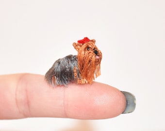 Miniature toy yorkie hot sale