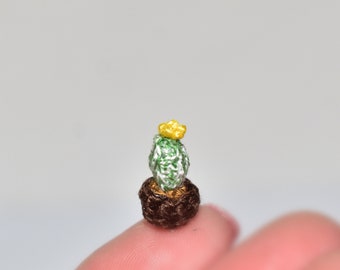 Miniature Cactus Plant 0.6 "Cactus Miniature Succulent pianta miniatura crochet fiore di cactus Dollhouse fiore decorazione Dollhouse decorazione della casa delle bambole