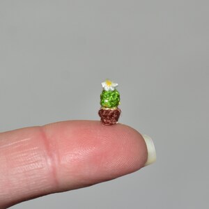 Puede incluir: Un pequeño cactus de ganchillo con una flor blanca en la parte superior, sentado en una maceta marrón. El cactus es verde y la maceta es marrón.